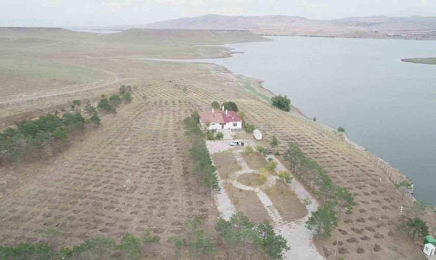 Kars'ta su kaynakları ve ormanlar için ortak seferberlik