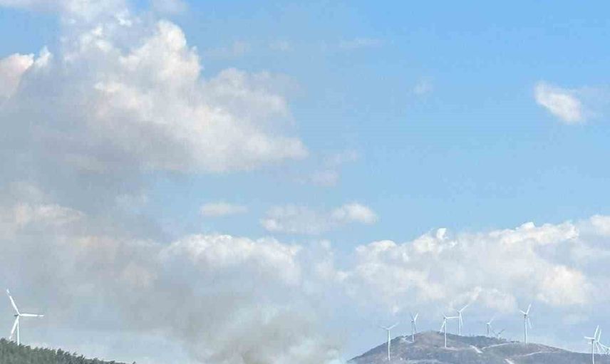 Bodrum Mazı'da orman yangını: havadan ve karadan müdahale sürüyor