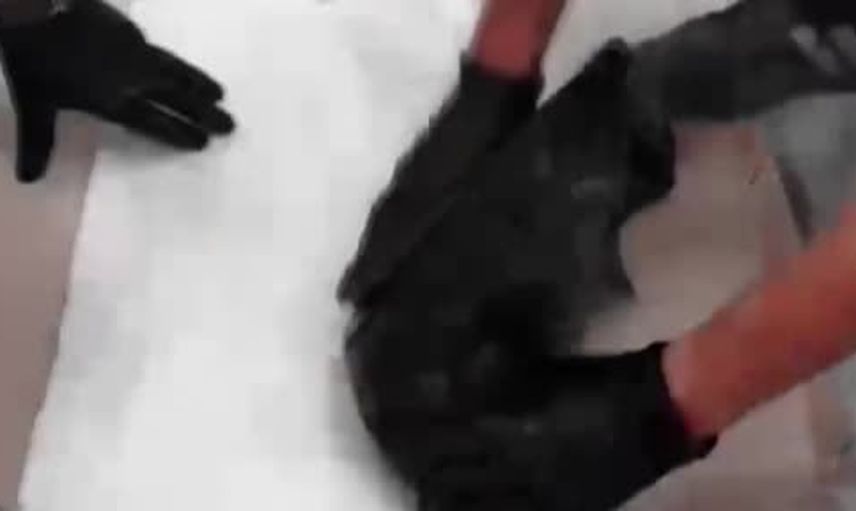 Ordu’da İran bağlantılı uyuşturucu operasyonunda dört kişi tutuklandı