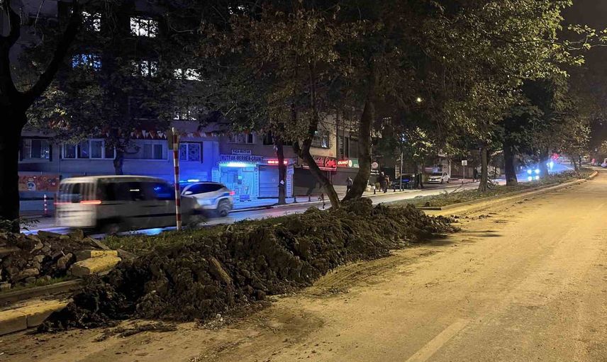 Eyüpsultan'da karanlık operasyon iddiası: asırlık ağaçlar için tepki