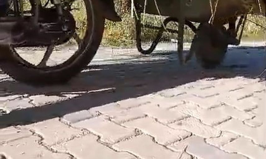 Yüksekovalı çiftçinin pratik zekâsı: motosiklete el arabası bağlayıp ot taşıdı