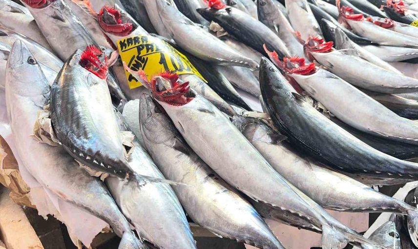 Palamut bereketi İzmir tezgahlarında bütçeye nefes aldırdı