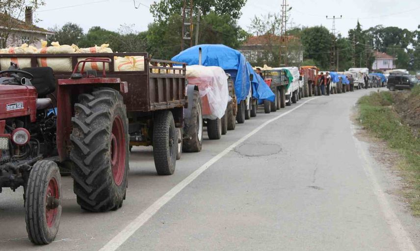 Fındık teslimatında uyarı: ayıklama yapmayan ürün geri dönebilir
