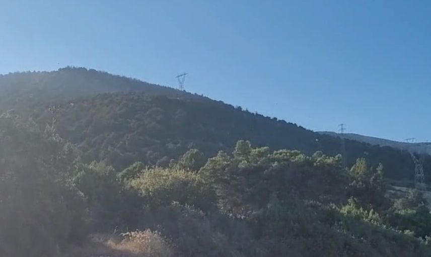 Eğirdir’de Orman Yangını Kontrol Altına Alındı: 10 Hektar Zarar
