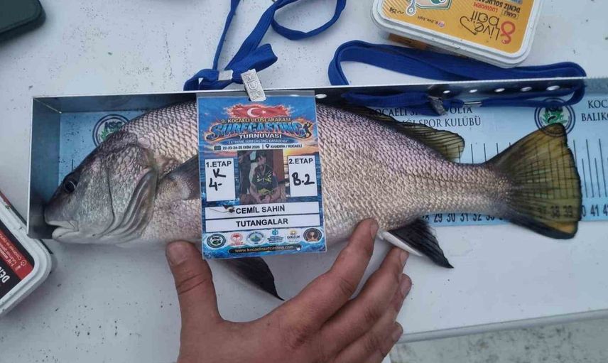 Kandıra'da uluslararası oltacılar buluştu: 240 sporcu, 40 kadın ve 41 cm'lik en büyük balık