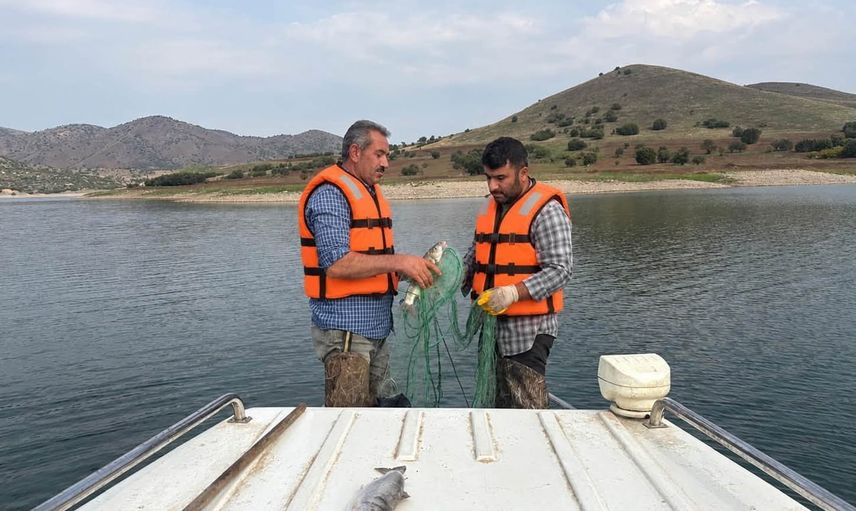 Baraj göllerinde sonbahar örneklemesi: istilacı türlerin izinde