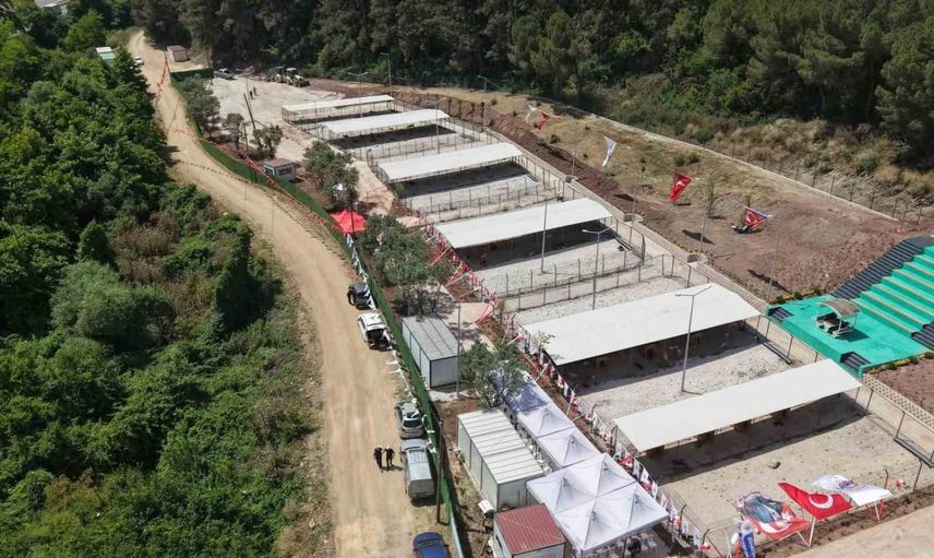 Bursa hayvan hakları platformu Gemlik yaşam alanının ziyaretlere kapatılmasına tepki gösterdi