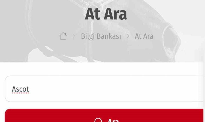 Kuriş ailesinin mal varlıkları lüks unsurlarla dikkat çekiyor