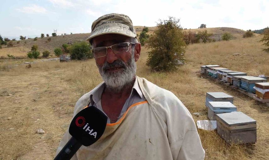 Serin yaylaların kırmızı aromalı balı kısa sürede tükendi