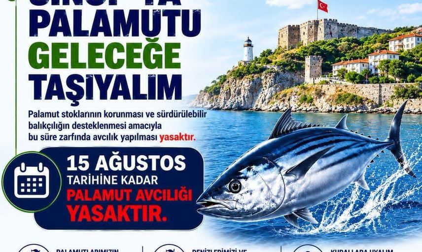 Palamut avına ara: Sinop uyarıyor