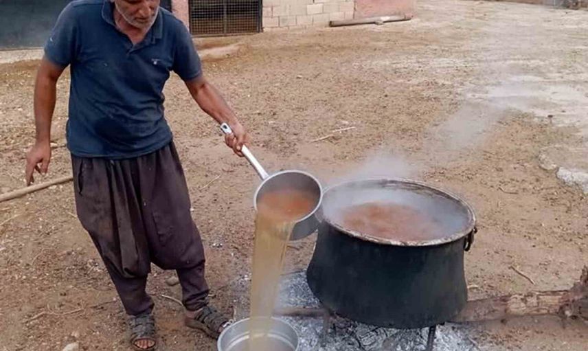 Araban'ın bağlarında güneşte olgunlaşan gelenek: gün pekmezi üretimi başladı
