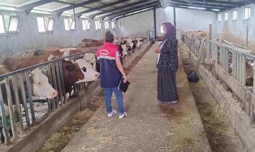 Çarşamba'da hayvan sağlığı için ari işletme rehberi tanıtıldı