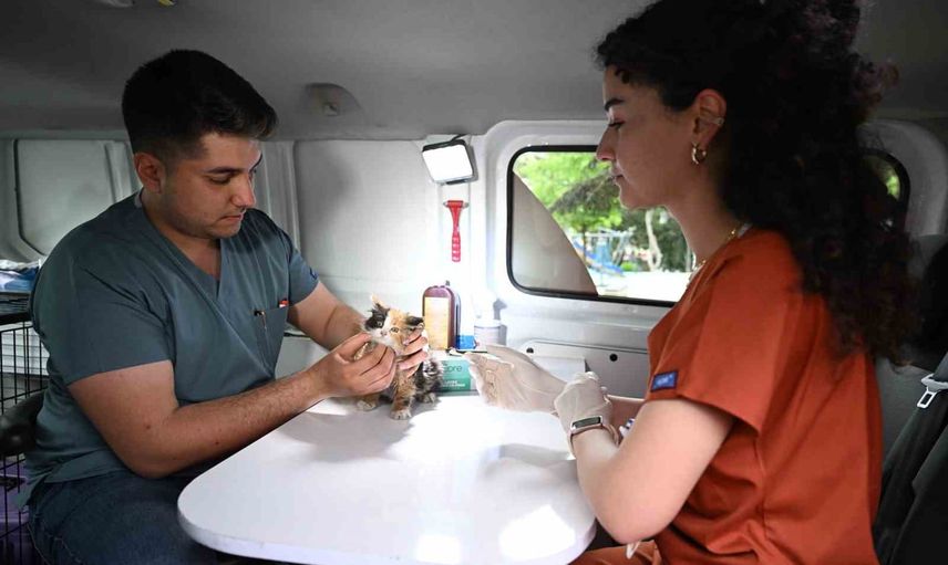 Mahalle mahalle şefkat: PATİVET ile sokak hayvanlarına hızlı müdahale