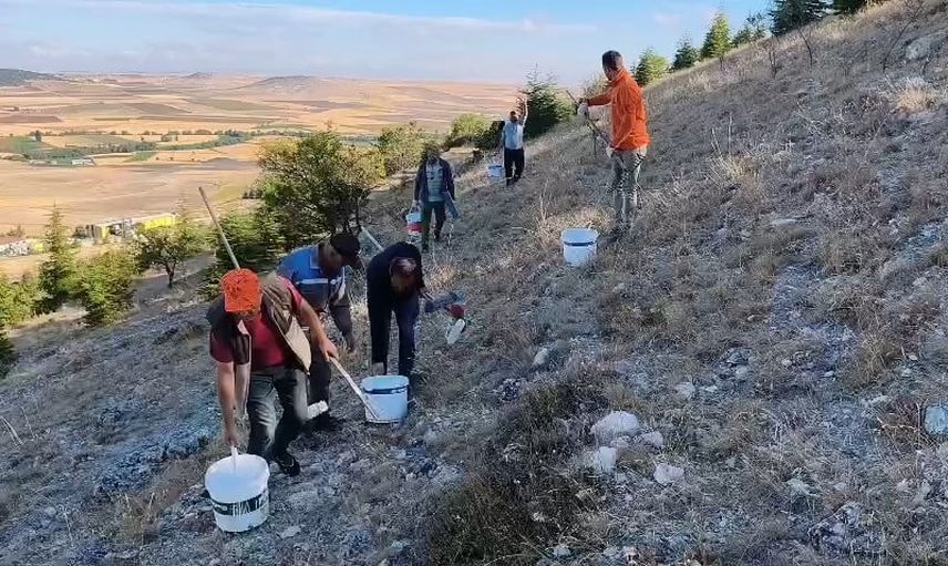 Avdan bayırında 1 Eylül anısına dev ay yıldız canlandırıldı