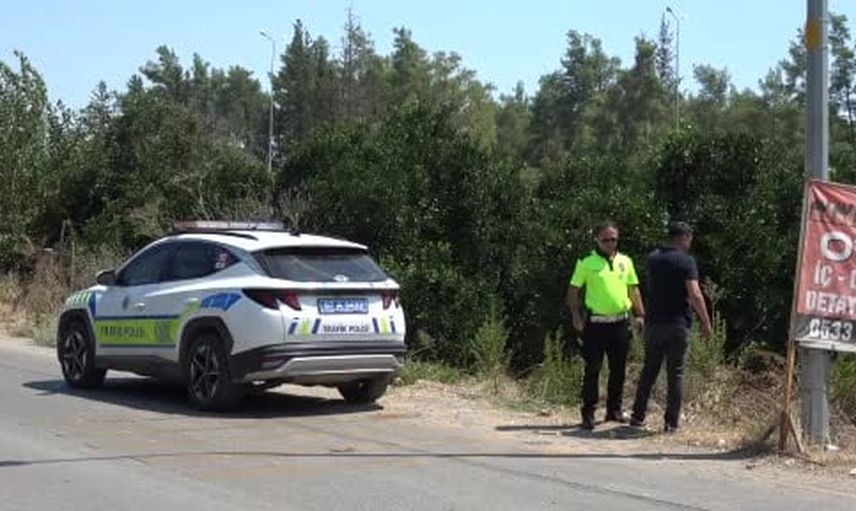 Kediye çarpmamak için manevra yapan sürücü portakal bahçesine uçtu