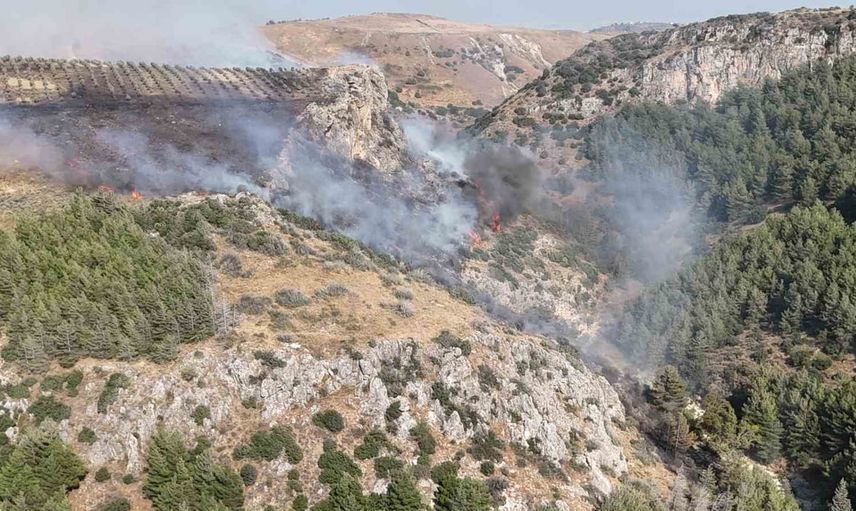 Antakya Narlıca'da çıkan orman yangını koordineli müdahaleyle kontrol altına alındı