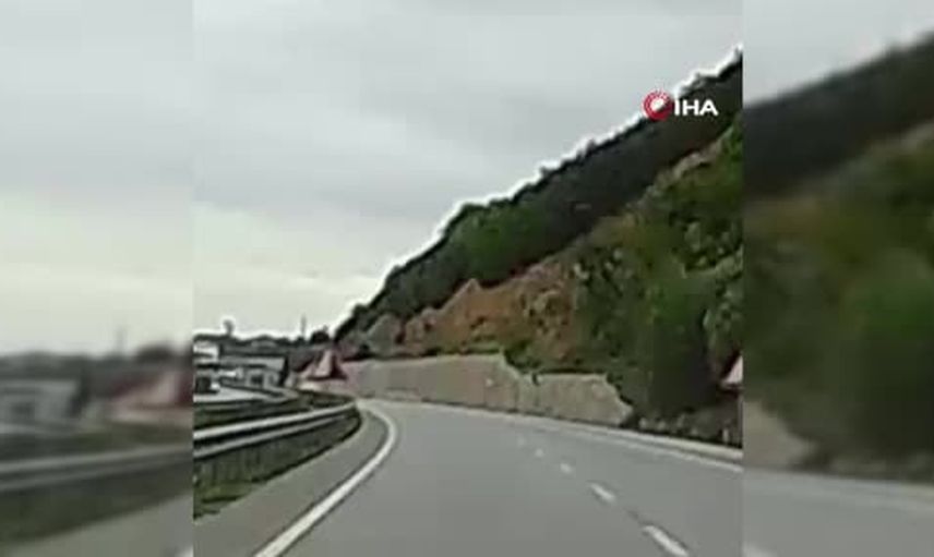 Yolun ortasındaki yaralı geyiğe aile müdahalesi