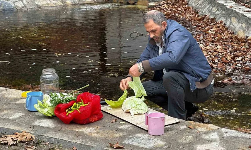 Pınarbaşı suyunun sırları: 600 yıllık çınarların gölgesinde kurulan turşu geleneği