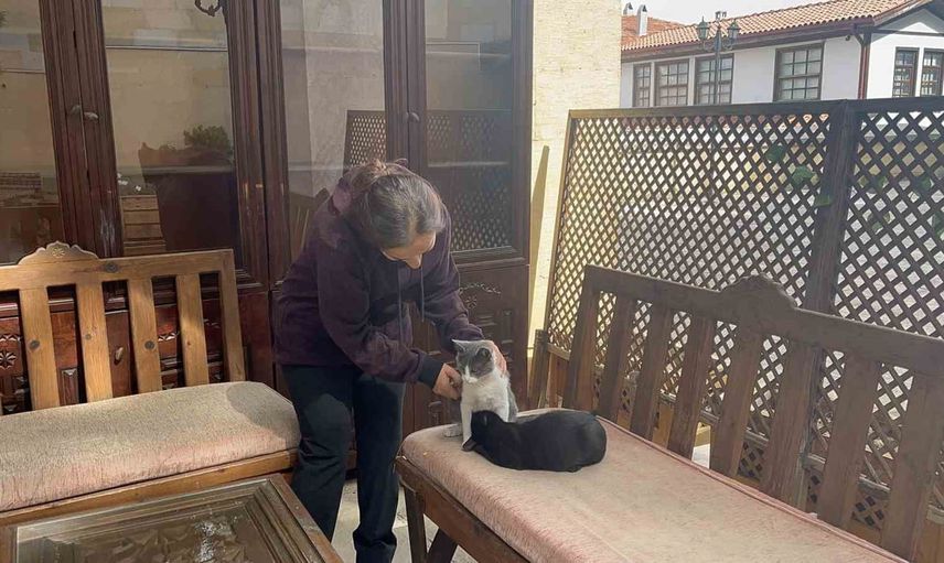Kardeşini annesi sanan kedi Yakupağa Külliyesi'nde dikkat çekiyor