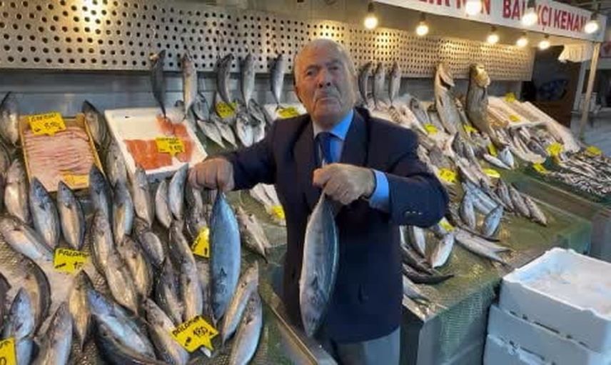 Tezgahlarda palamut ve hamsi bereketi: fiyatlarda istikrar sürüyor