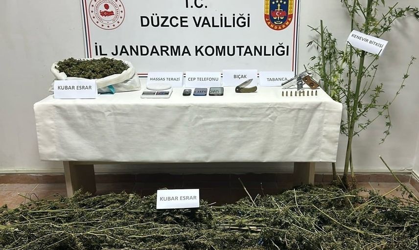 Düzce'de eş zamanlı operasyonda kubar esrar ve kenevir ele geçirildi