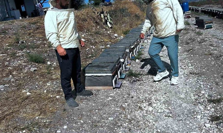 Didim'de bal üretiminde verimlilik ve sürdürülebilirlik hedefleniyor