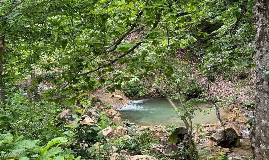 Andırın'ın saklı vadileri: Fındıklı Dere ve Hastane Pınarı doğa tutkunlarını çağırıyor