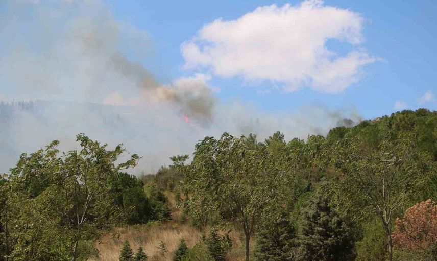 Gebze Beylikbağı'nda orman yangını yoğun müdahaleyle 1,5 saatte kontrol altına alındı