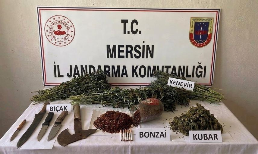 Mersin'de Mut'ta kenevir ekimi ve uyuşturucu ticaretine operasyon