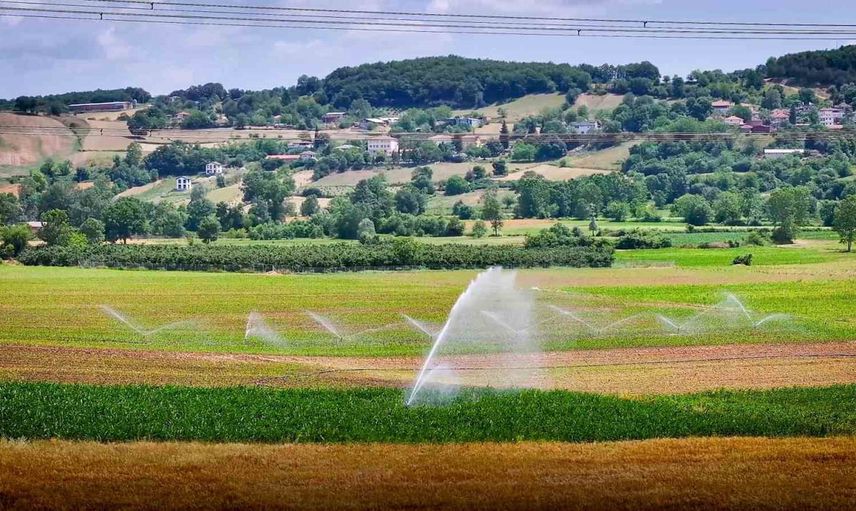 Çift hasatla bereketlenen Kocaeli tarlaları