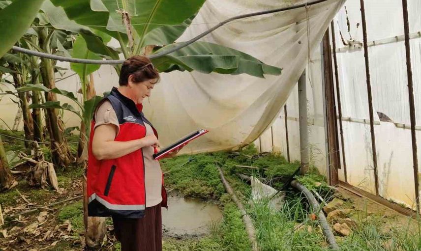 Alanya'da seralar yapı ve kalite ölçütlerine göre değerlendiriliyor