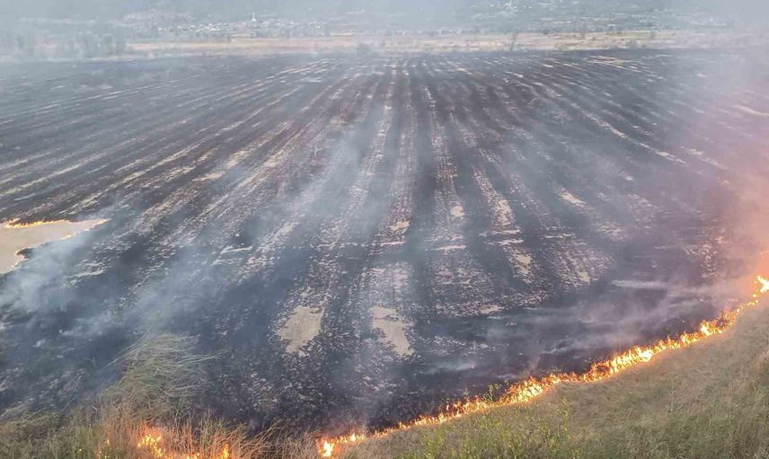 Tosya'da rüzgarın etkisiyle yayılan örtü yangını 400 dönümü etkiledi