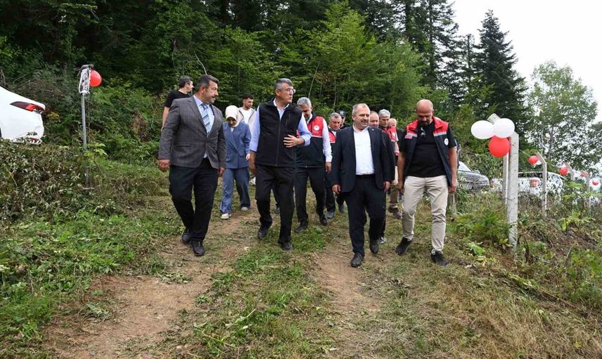 Şenpazar'da aronya hasadı kırsala katma değer sağlıyor