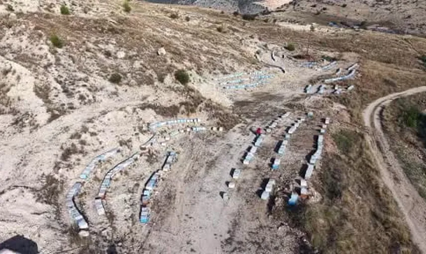 Babadan miras işe girişti, 250 kovandan 1.000 kovana uzanan arı serüveni