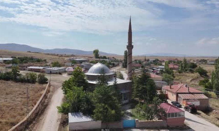 Panlı'dan Berlin'e: Elif Eralp ve Die Linke'nin başarısı köyde sevinçle karşılandı