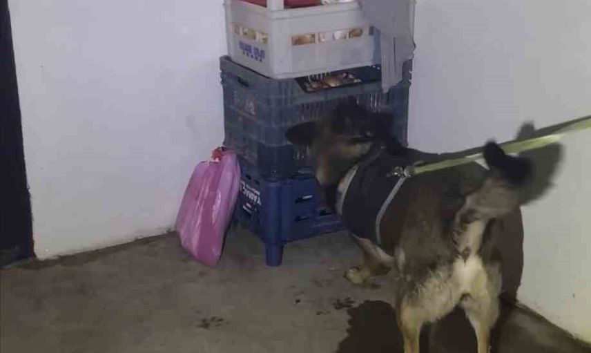 bingöl'de narkotik operasyonunda bir kişi tutuklandı