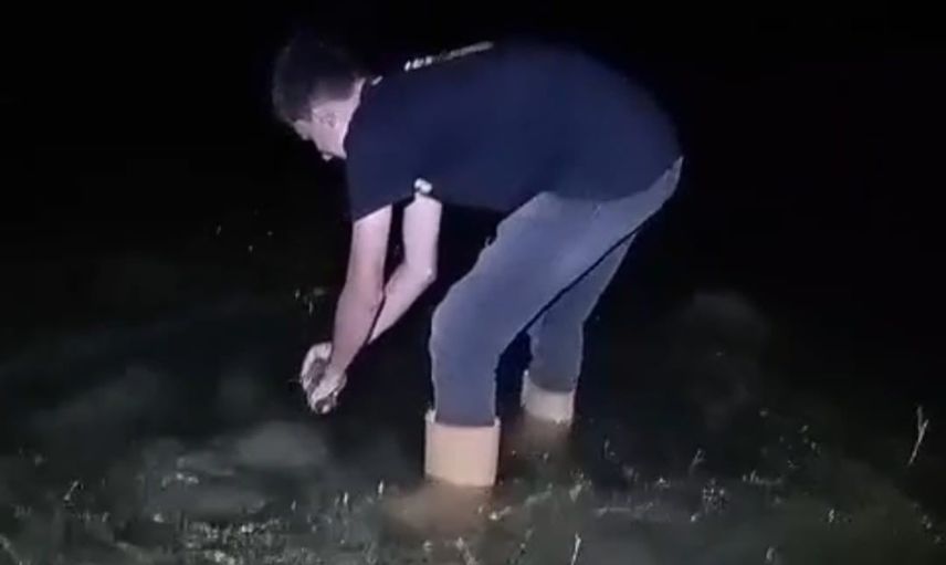 Keban'da küçük sazana veda: 'büyü de gel' diyerek suya saldı
