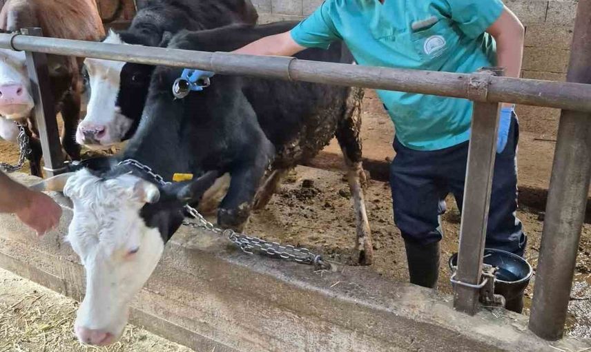 Beyşehir'de kapı kapı aşı: hayvancılıkta koruma ve rehberlik vurgusu