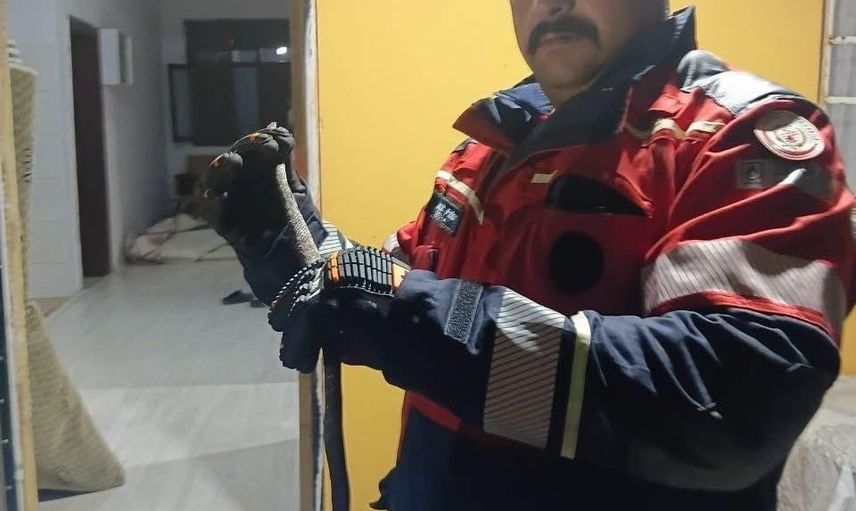 Hassa’da itfaiye ekipleri yerleşim yerindeki yılanı doğal ortamına güvenle geri bıraktı