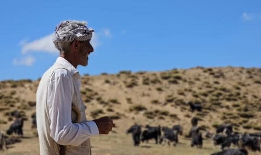Köyüne dönüp 110 küçükbaşıyla dağlarda hayatını kurdu