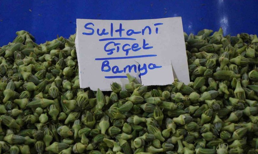 amasya'nın çiçek bamyasının kurusu gramla pazarda alıcı buluyor