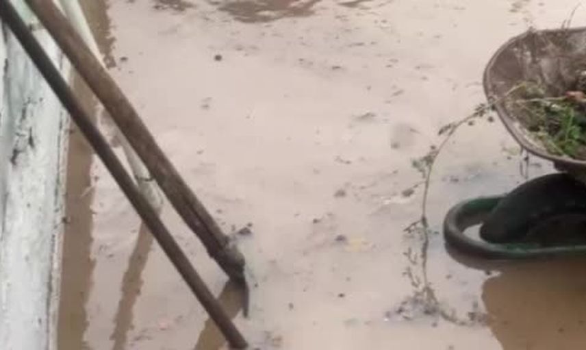 Mudanya'da sağanak sonrası bahçeler suya teslim oldu, yetkililer incelemede