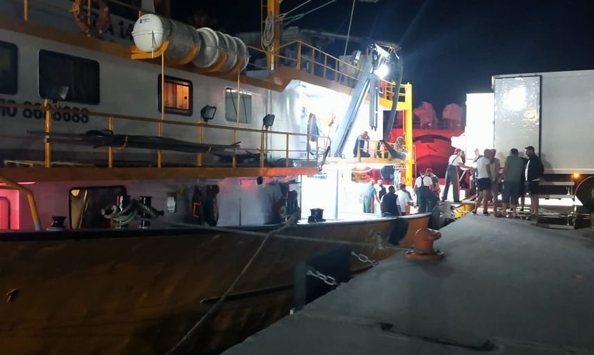 Sezonun ilk palamutları İnebolu limanında hareketlilik başlattı