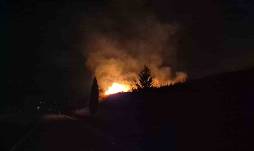 Anız yangını Adıyaman’da ağaçlık alana sıçradı