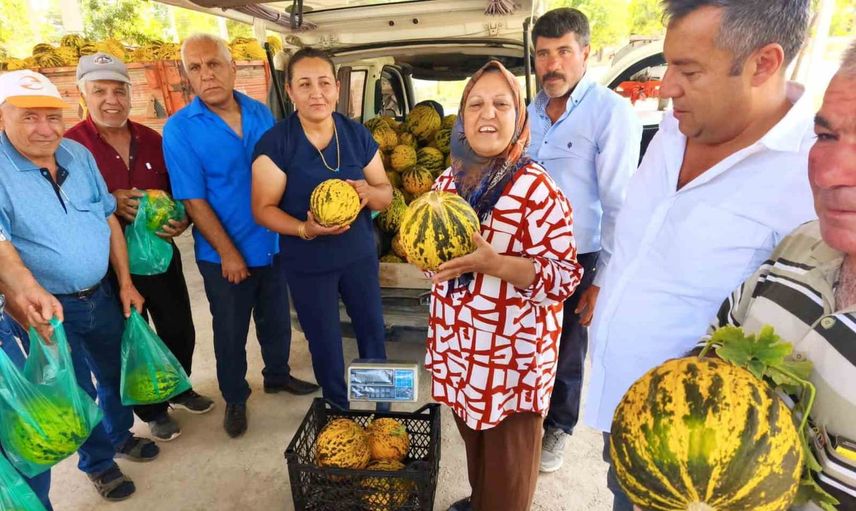 Altınova'da sulanmadan yetişen kavun bal tadıyla rağbet görüyor