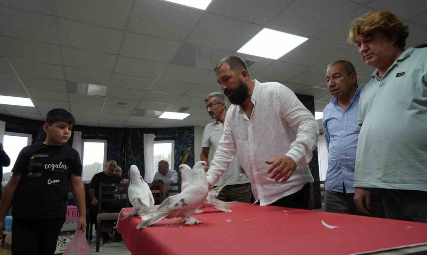 Erzurum'da şebap güvercinler ekonomik değeriyle ilgi çekti