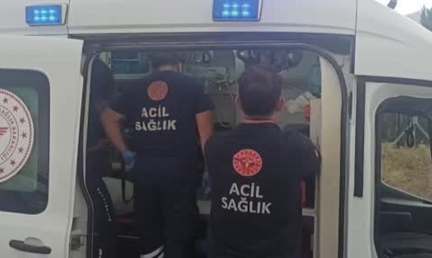 Muayeneden dönen sürücü yolda kontrolü kaybetti, iki yaralı