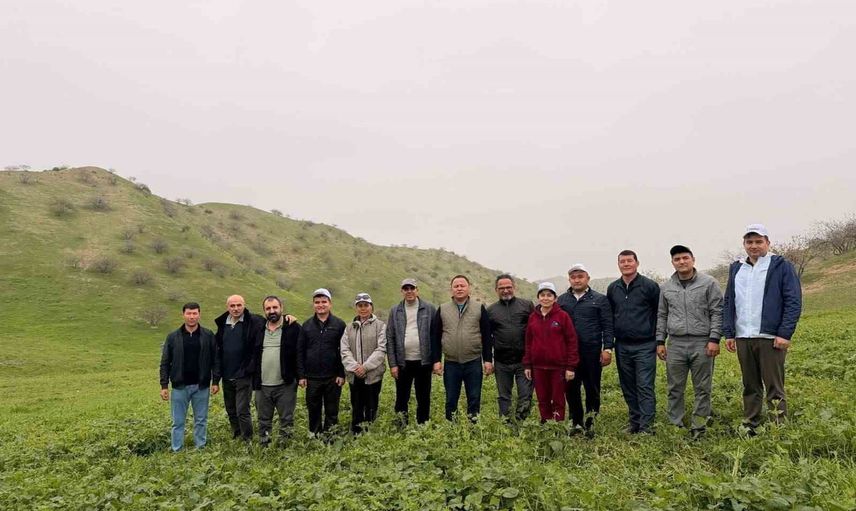 karabük akademisyenleri iklim değişikliğine dayanıklı erkek antep fıstığı genotipleri arayacak