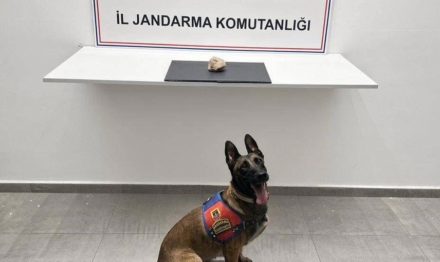 Şanlıurfa'da Eyyübiye jandarmasından bonzaiye dönüşebilecek sentetik kannobinoid operasyonu: 1 tutuklama
