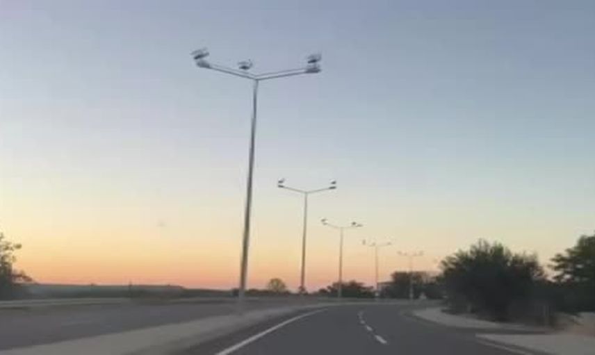 Muratlı'da ışık direkleri leyleklerle renkleniyor